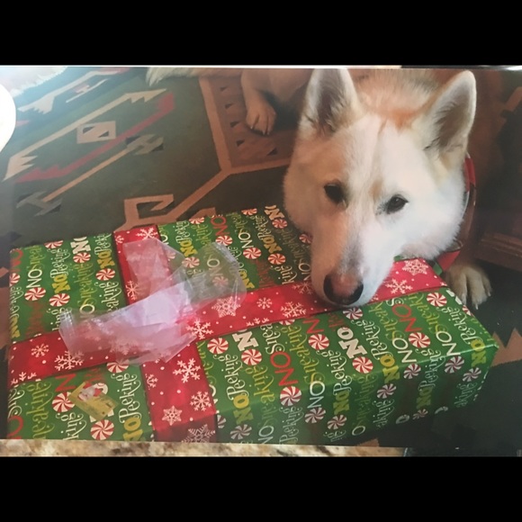 HOLIDAY - Picture 2 of 6